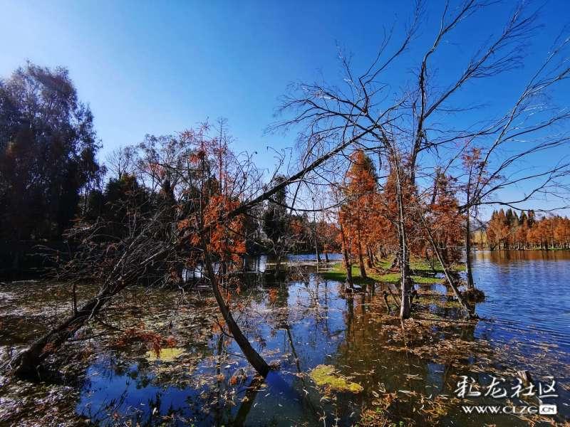 阿尔梅里亚后卫:我们踢得很棒,有人决定我们不能在伯纳乌获胜